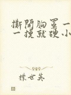 撕开胸罩一边亲一摸就硬小说