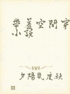 带着空间穿越的小说封面