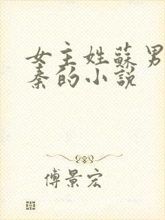 女主姓苏男主姓秦的小说