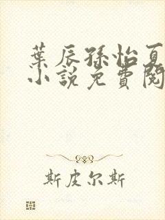 叶辰孙怡夏若雪小说免费阅读全文