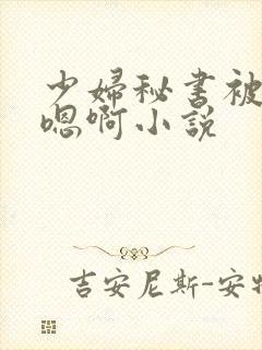 少妇秘书被狂啪嗯啊小说