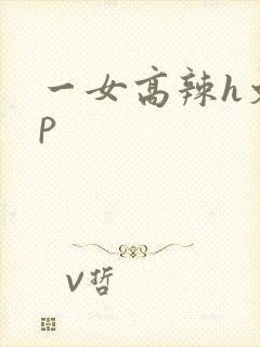 一女高辣h文np封面