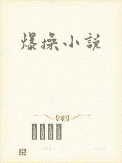 爆操小说