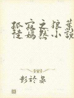 孤寂之狼叶凡司徒嫣然小说