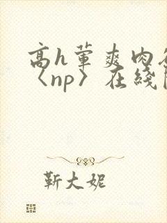 高h荤爽肉欲文〈np〉在线阅读