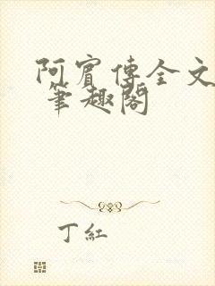 阿宾传全文阅读 笔趣阁