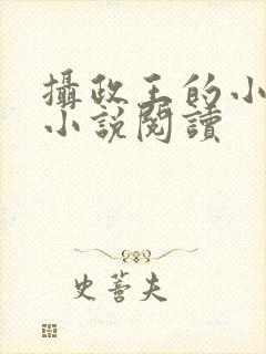 摄政王的小闲妻小说阅读