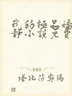 我的极品娇妻白静小说免费阅读全文封面