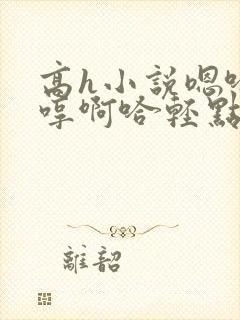 高h小说嗯哈嗯哼啊哈轻点