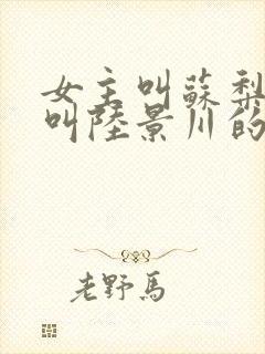 女主叫苏梨男主叫陆景川的小说