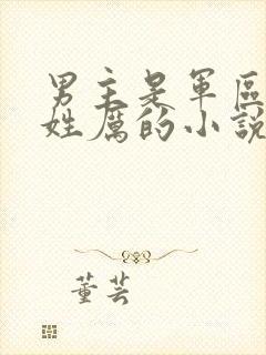 男主是军区首长姓厉的小说封面