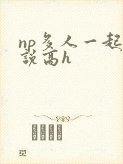 np多人一起小说高h