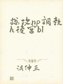 总攻np调教高h后宫bl