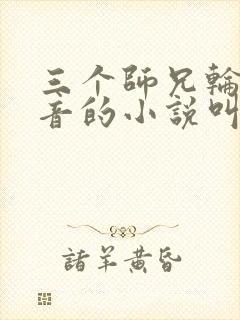 三个师兄轮流上音的小说叫什么