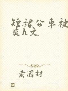 短裙公车被强好爽h文