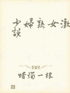 少妇熟女激情小说封面