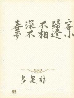 春深不归客 清梦不相逢小说