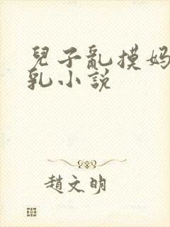 儿子乱摸妈妈大乳小说封面