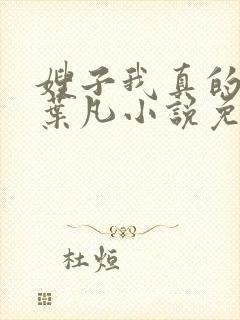 嫂子我真的不傻叶凡小说免费