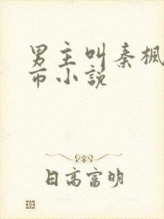 男主叫秦枫的都市小说封面