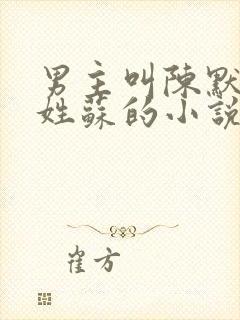男主叫陈默女主姓苏的小说