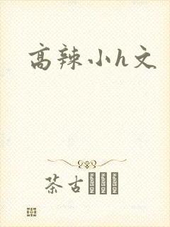 高辣小h文
