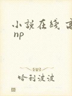 小说在线 高h np