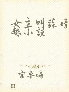女主叫苏晴的穿越小说