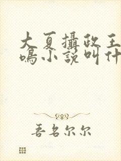 大夏摄政王白凤鸣小说叫什么