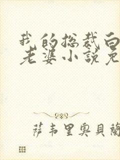 我的总裁白富美老婆小说免费讲述