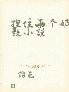 捏住两个奶头调教小说