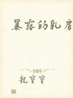 暴露的乳房小说封面