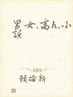男女,高h,小说