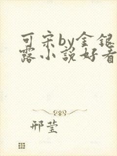 可宋by金银花露小说好看吗