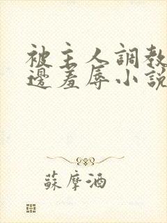 被主人调教边c边羞辱小说封面