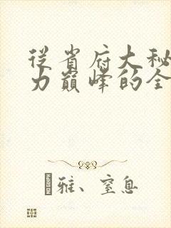从省府大秘到权力巅峰的全部小说封面