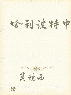 哈利波特中文版