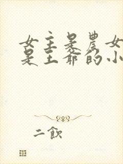 女主是农女男主是王爷的小说封面