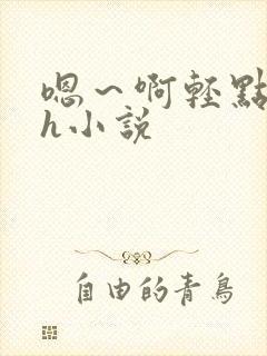 嗯～啊轻点hhh小说