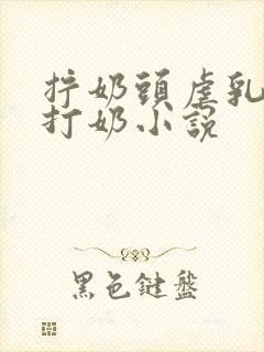 拧奶头虐乳扇奶打奶小说封面