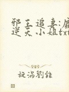 邪王追妻:废材逆天小姐txt下载