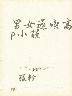 男女通吃高hnp小说封面