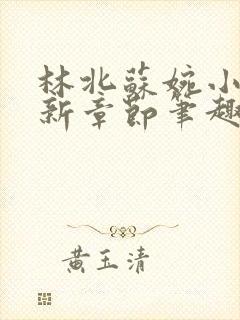 林北苏婉小说最新章节笔趣阁