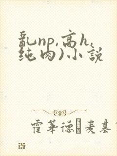 乱np,高h,纯肉)小说