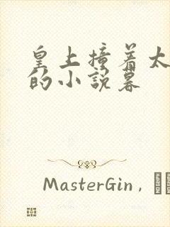 皇上撞着太子妃的小说暮