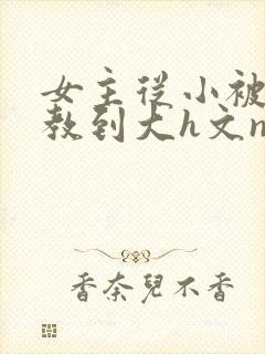 女主从小被肉调教到大h文np