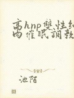 高hnp双性纯肉催眠调教