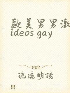 欧美男男激情videos gay