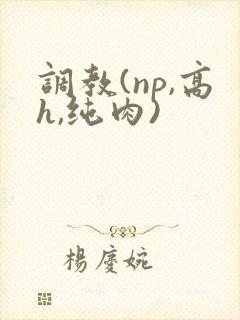 调教(np,高h,纯肉)