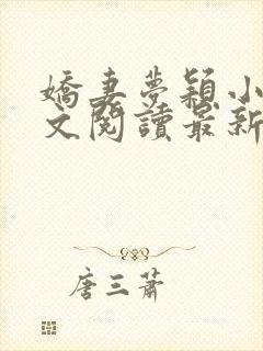 娇妻梦颖小说全文阅读最新章节更新